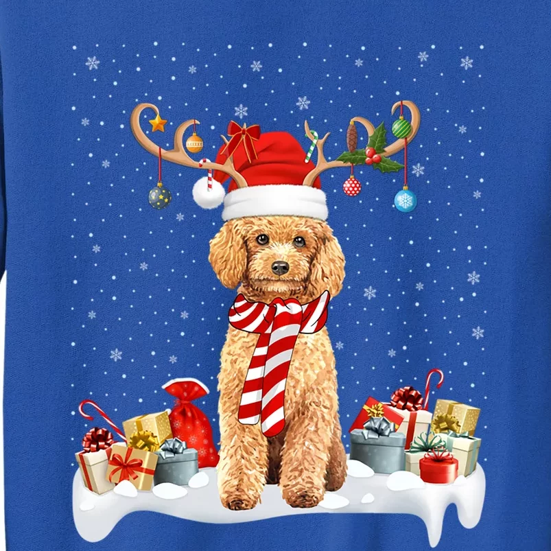 Toy Poodle Dog Xmas Lights Reindeer Toy Poodle Christmas Great Gift Tall Sweatshirt