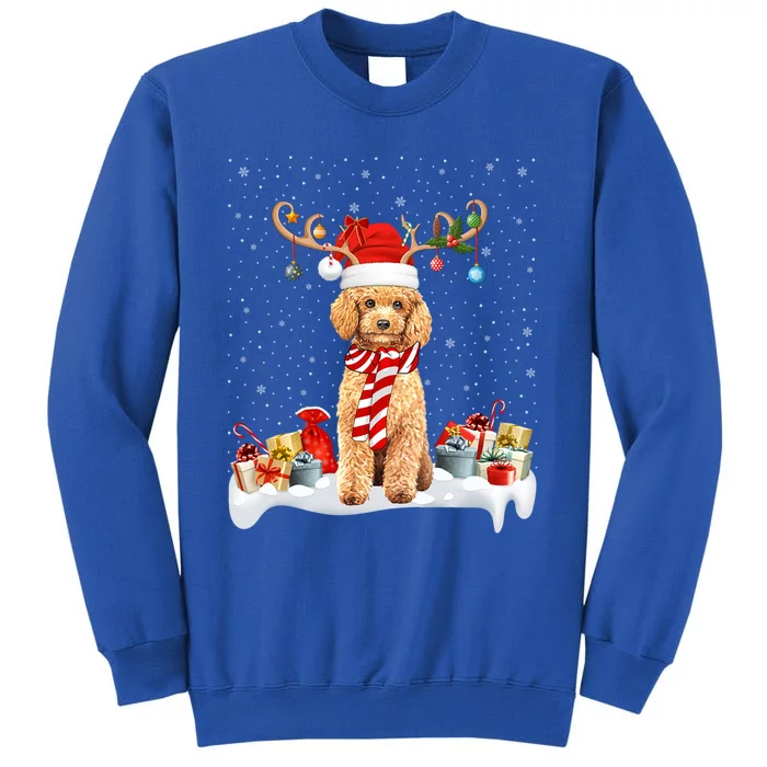 Toy Poodle Dog Xmas Lights Reindeer Toy Poodle Christmas Great Gift Tall Sweatshirt