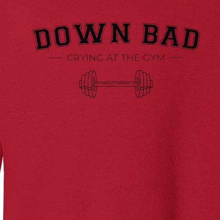 Tortured Poets Down Bad Crying At The Gym Toddler Sweatshirt