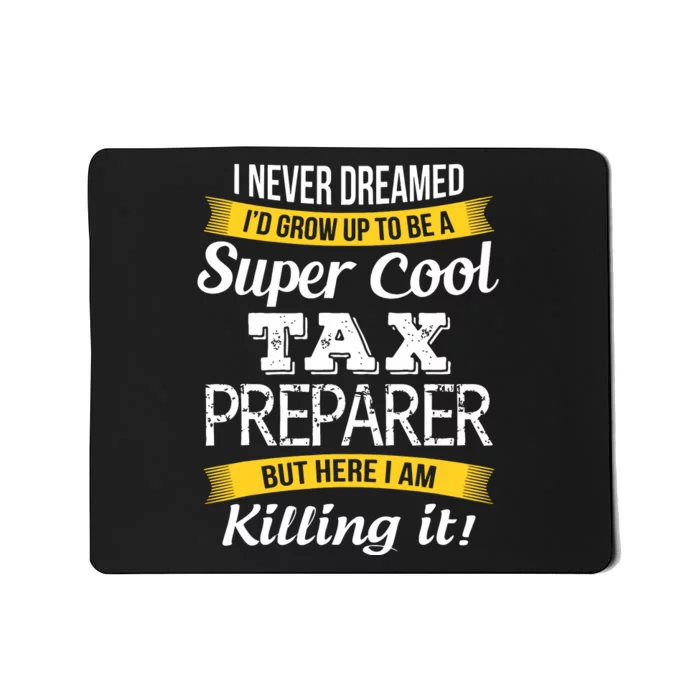 Tax Preparer Funny Gift Mousepad