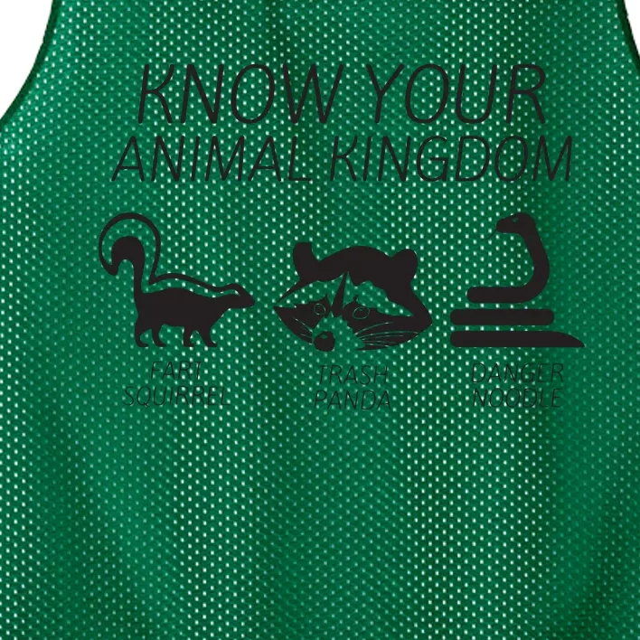 Trash Panda Fart Squirrel Danger Noodle Mesh Reversible Basketball Jersey Tank