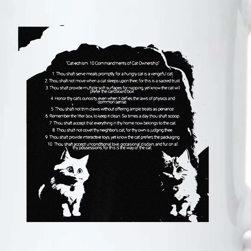 The Purrfect Laws For Any Devoted Cat Servant Premium Black Color Changing Mug