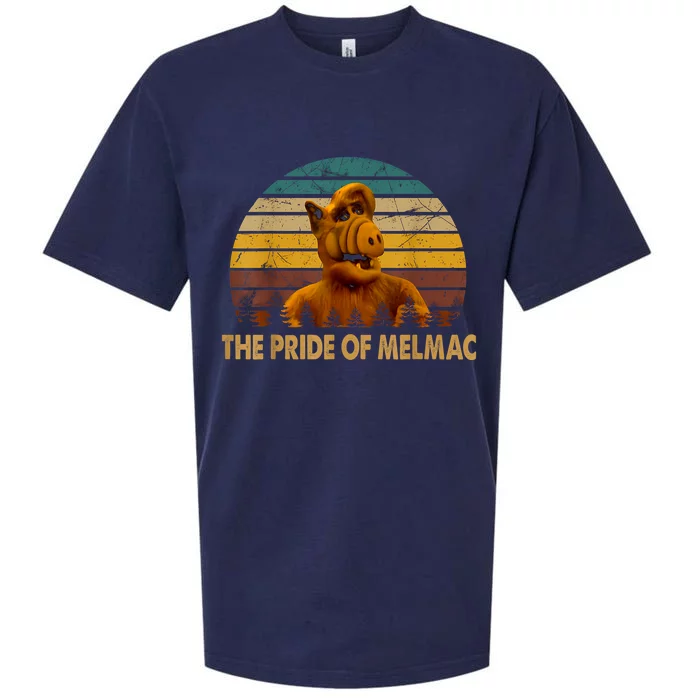 The Pride Of Melmac Alf Alien Vintage Sueded Cloud Jersey T-Shirt