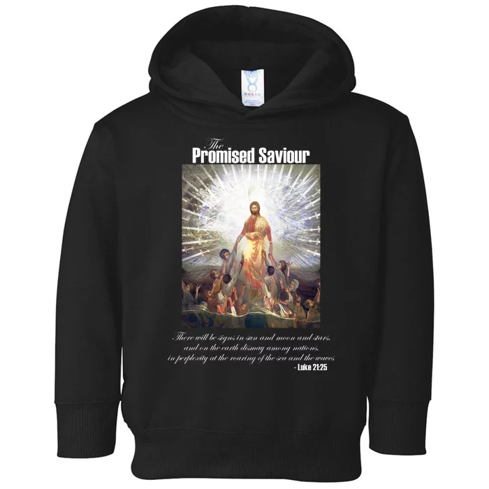 The Promised Saviour Luke Bible Quote Jesus Pray For Peace Toddler Hoodie