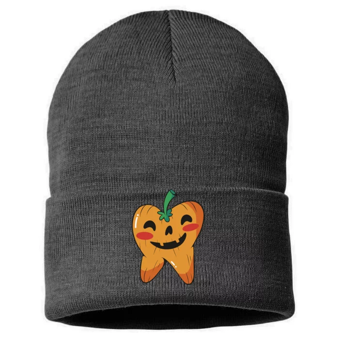 Tooth Pumpkin Sustainable Knit Beanie