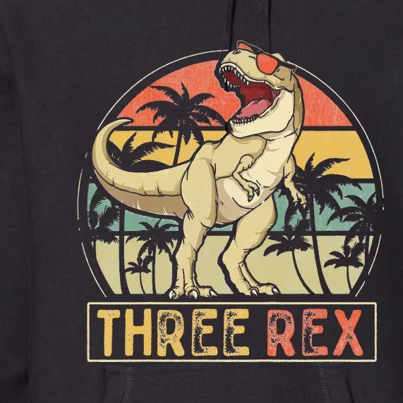 Three Rex 3rd Birthday Gifts Dinosaur 3 Year Old Premium Hoodie