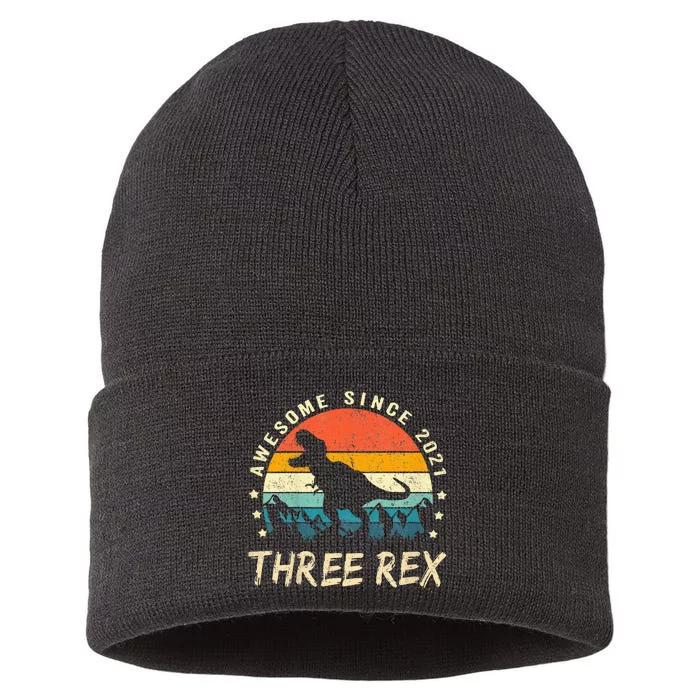 Three Rex 3rd Birthday Third Dinosaur 3 Year Old Sustainable Knit Beanie