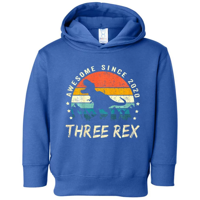 Three Rex 3rd Birthday Third Dinosaur 3 Year Old Toddler Hoodie