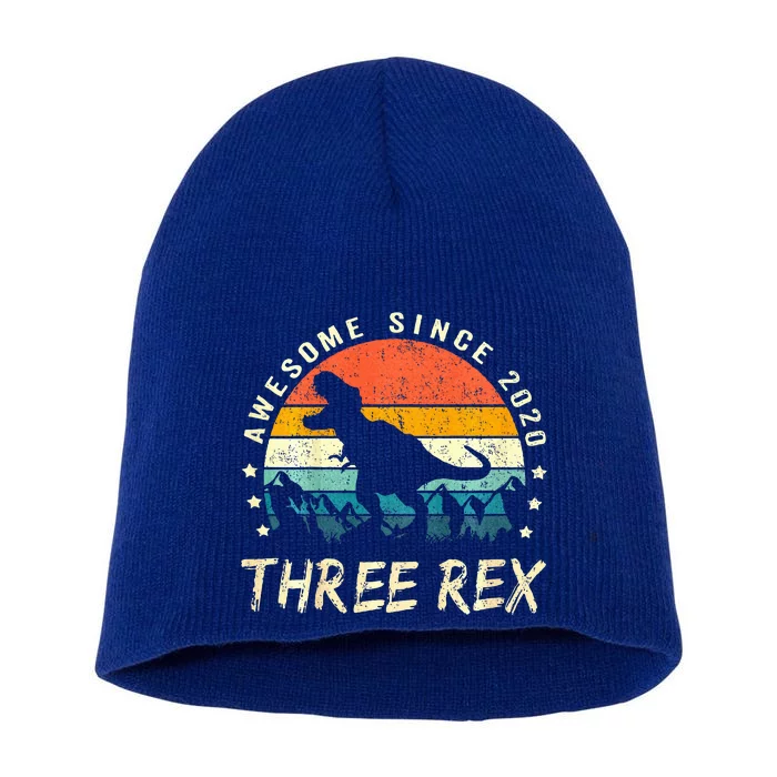 Three Rex 3rd Birthday Third Dinosaur 3 Year Old Short Acrylic Beanie