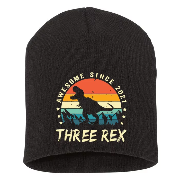 Three Rex 3rd Birthday Third Dinosaur 3 Year Old Short Acrylic Beanie