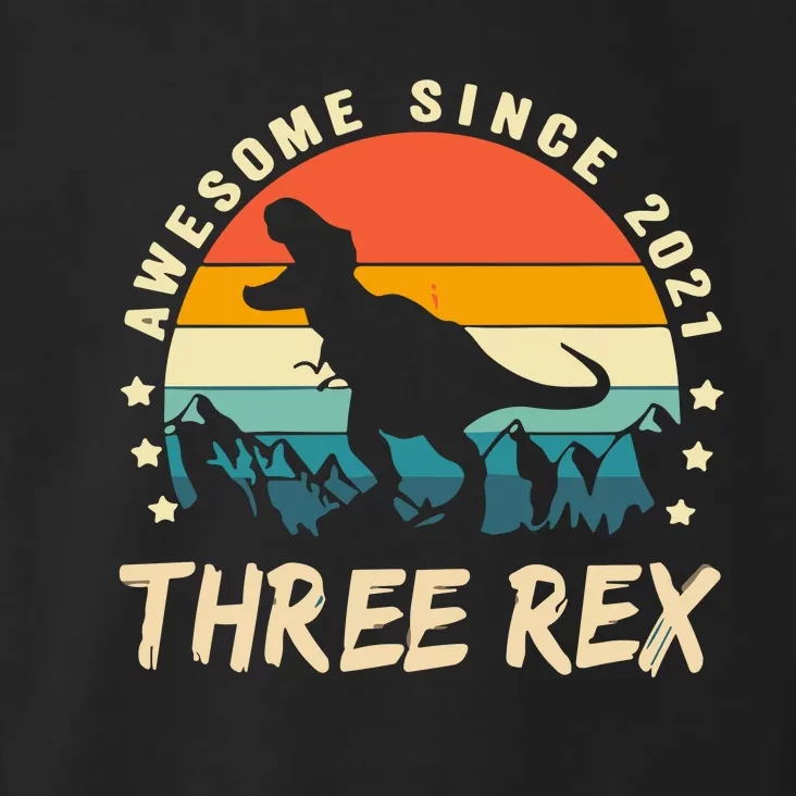 Three Rex 3rd Birthday Third Dinosaur 3 Year Old Toddler Hoodie