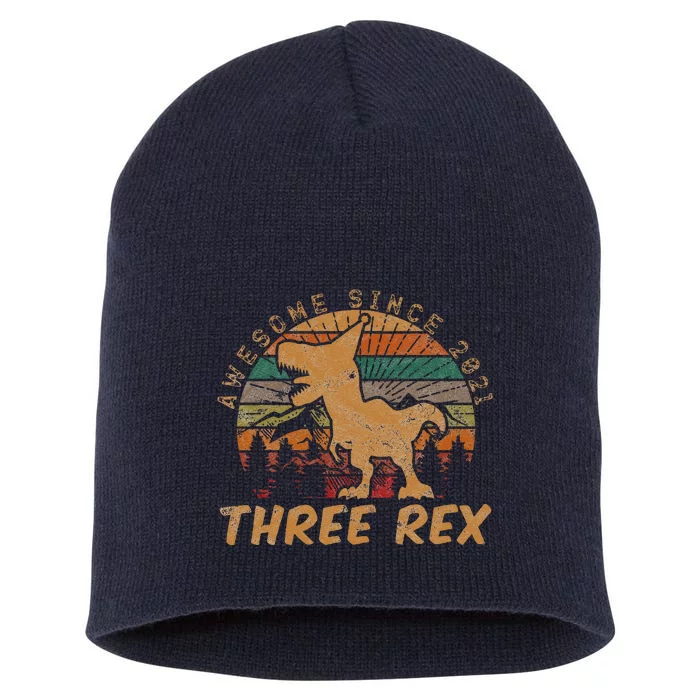 Three Rex 3rd Birthday Gift Third Dinosaur 3 Year Old Short Acrylic Beanie