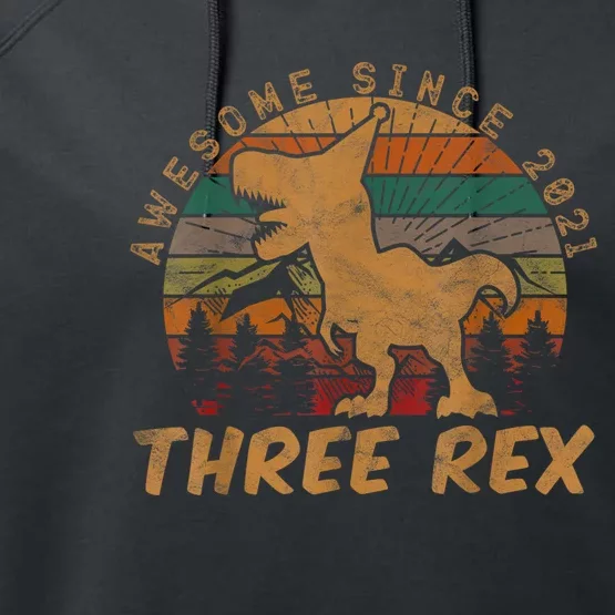 Three Rex 3rd Birthday Gift Third Dinosaur 3 Year Old Performance Fleece Hoodie