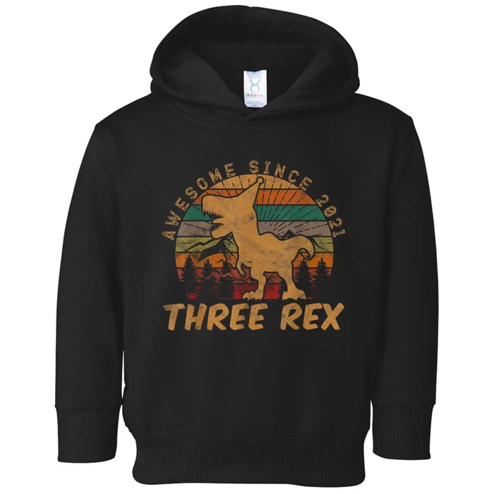 Three Rex 3rd Birthday Gift Third Dinosaur 3 Year Old Toddler Hoodie