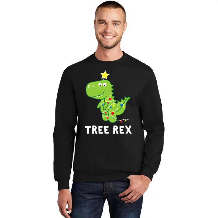 Tree Rex. Animal Pun Funny Dinosaur Christmas Pajama Gift Tall Sweatshirt