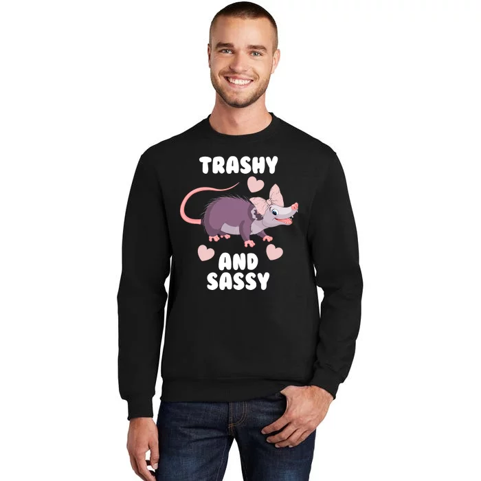 Trashy And Sassy Sweatshirt