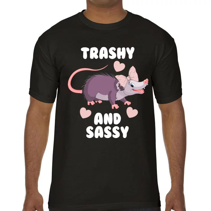 Trashy And Sassy Comfort Colors T-Shirt