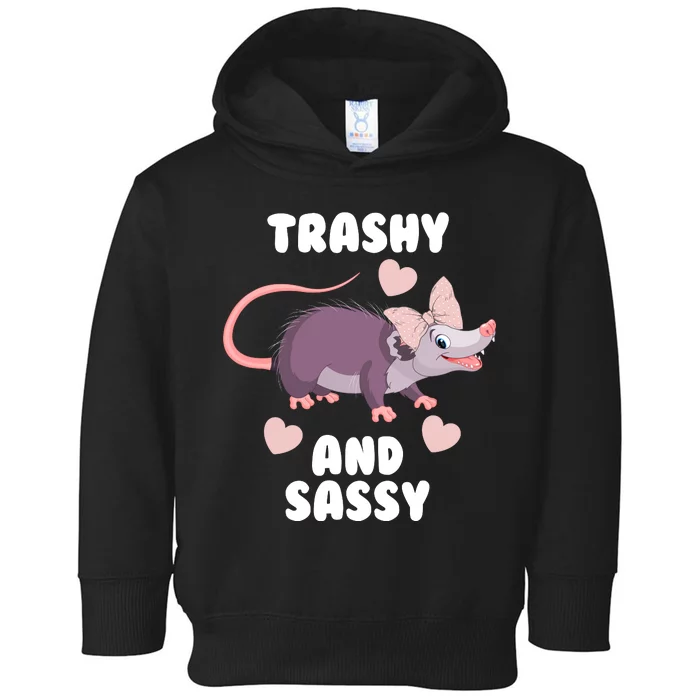 Trashy And Sassy Toddler Hoodie