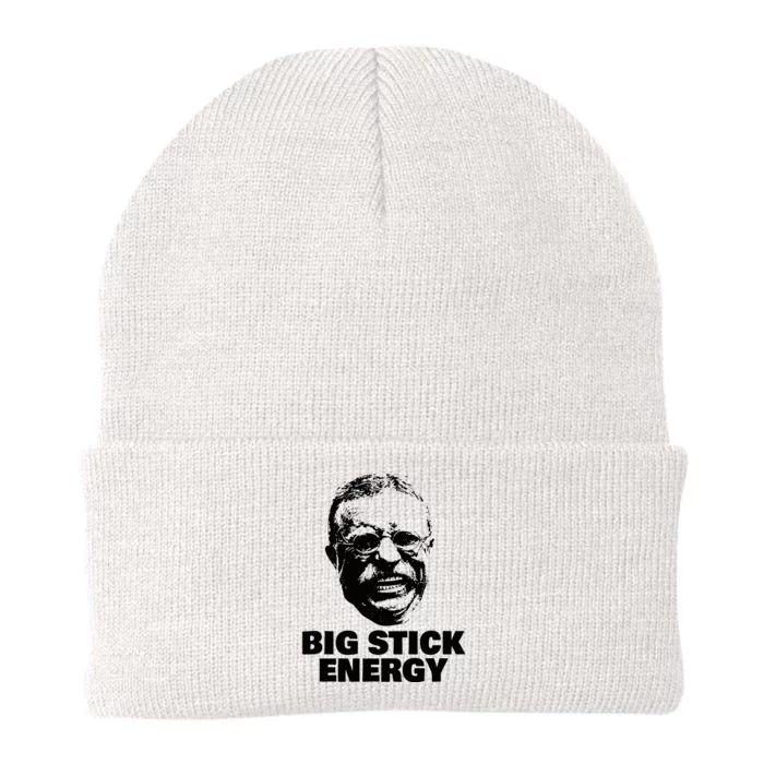 Teddy Roosevelt Big Stick Theodore President Knit Cap Winter Beanie