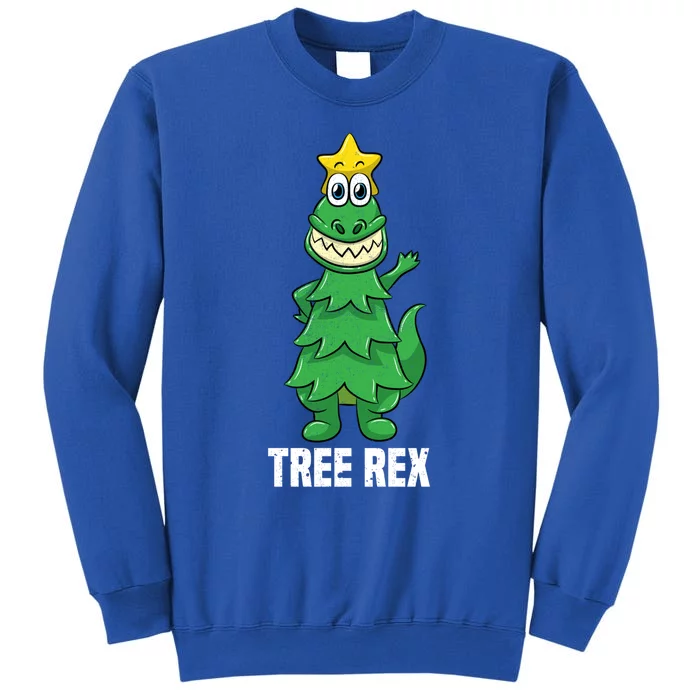 Tree Rex Christmas Trex Dinosaur Lover Boy Xmas Gift Sweatshir Sweatshirt