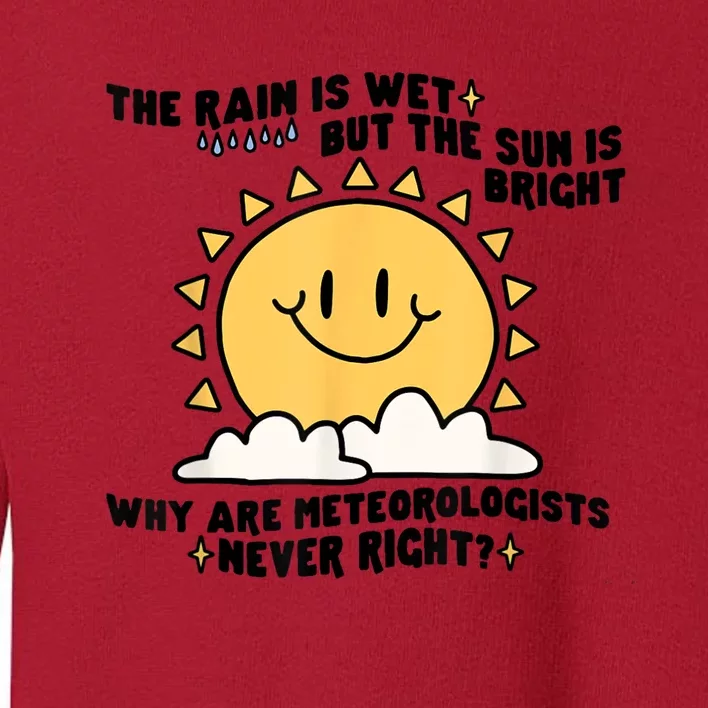 The Rain Is Wet But The Sun Is Bright Why Are Meteorologists Toddler Sweatshirt