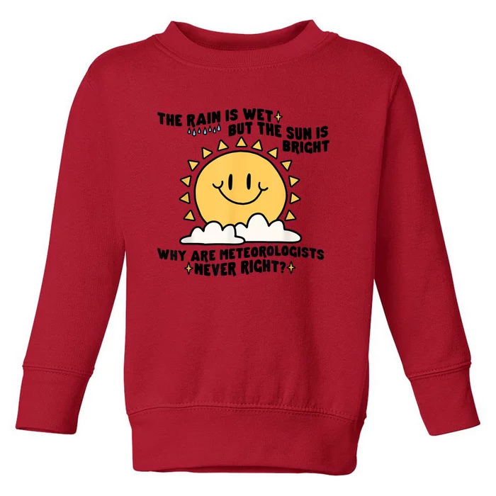 The Rain Is Wet But The Sun Is Bright Why Are Meteorologists Toddler Sweatshirt