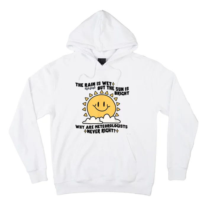 The Rain Is Wet But The Sun Is Bright Why Are Meteorologists Hoodie