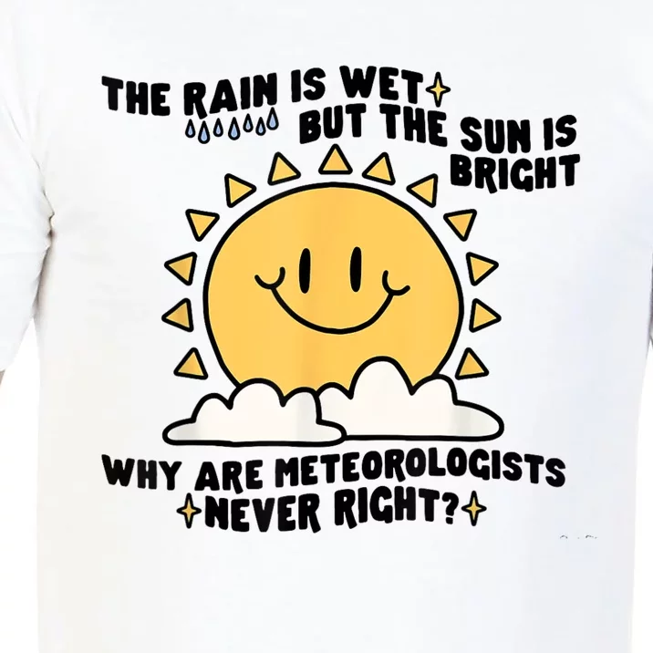 The Rain Is Wet But The Sun Is Bright Why Are Meteorologists Comfort Colors T-Shirt