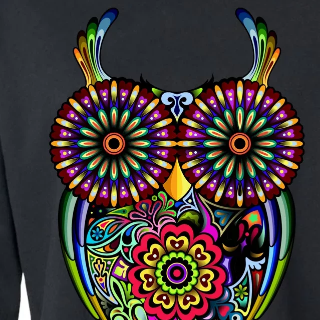 Trippy Big Eyed Owl Cropped Pullover Crew