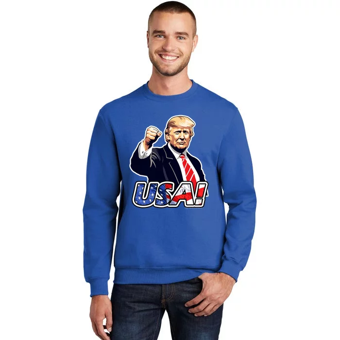 Trump Rally July 2024 Fist Pump Usa Donald Trump Survivor Gift Tall Sweatshirt