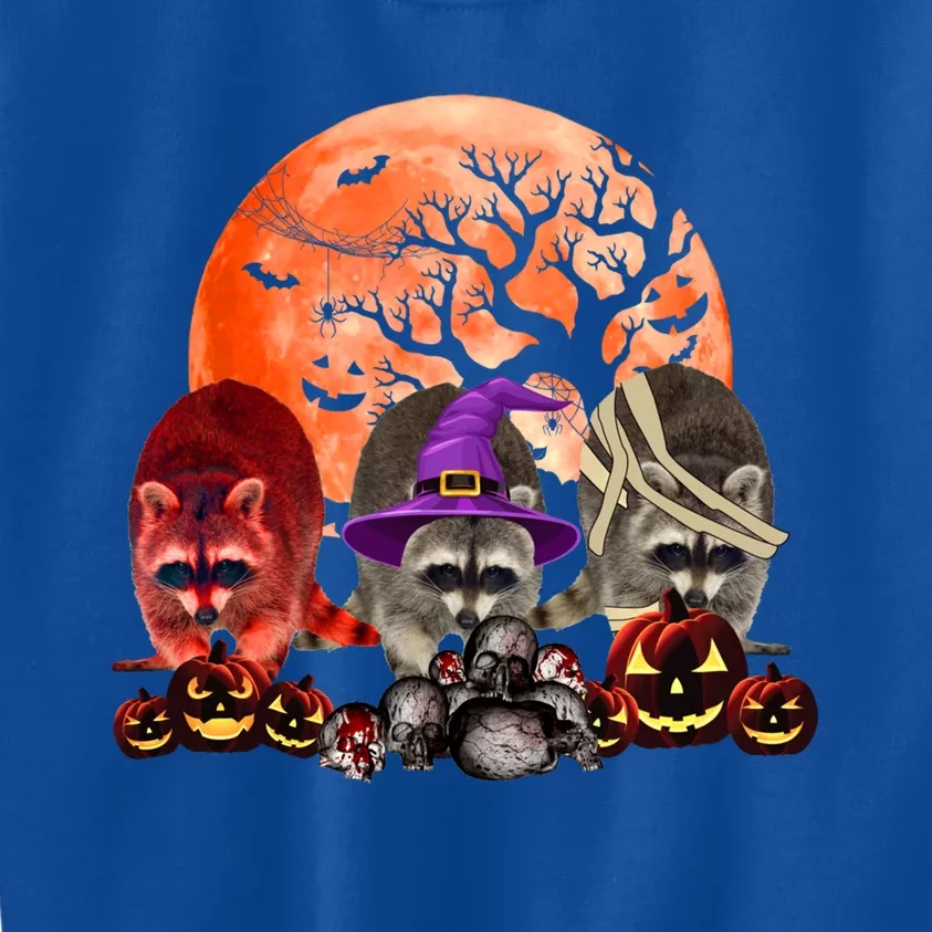 Three Raccoon Mummy Witch Pumpkin Pet Lover Halloween Gift Kids Sweatshirt