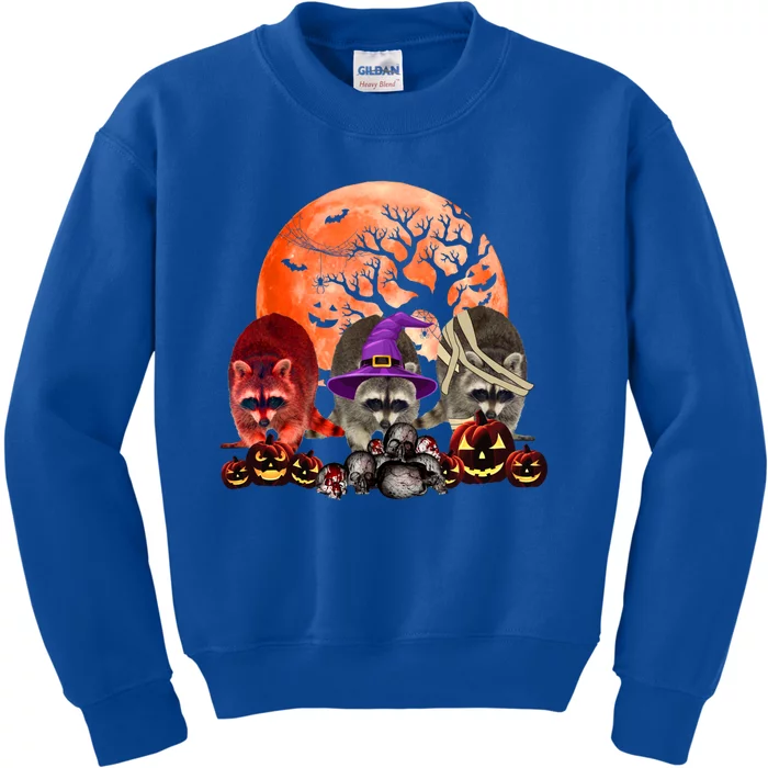 Three Raccoon Mummy Witch Pumpkin Pet Lover Halloween Gift Kids Sweatshirt