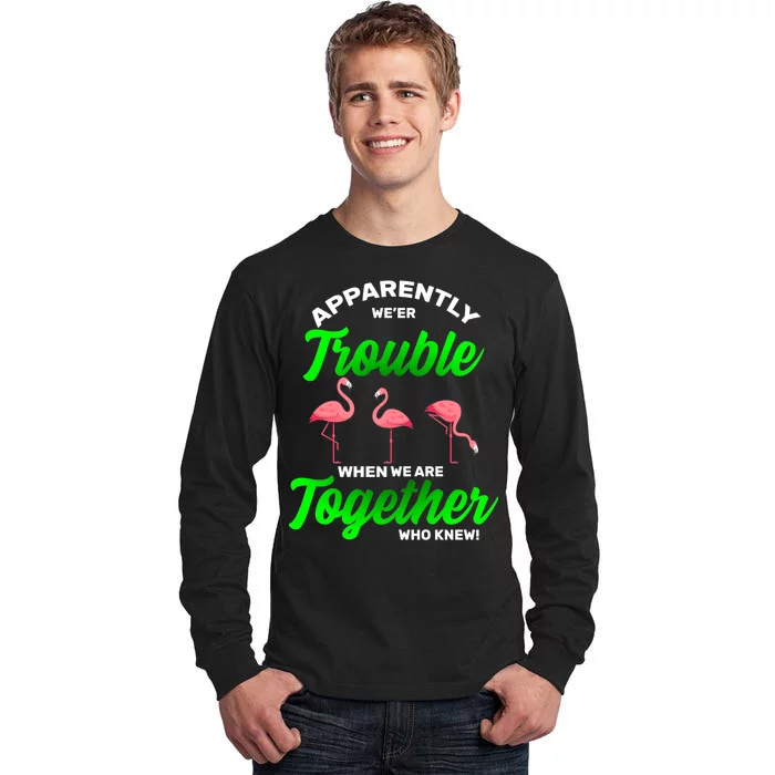 Trouble Flamingo When We Are Together Who Knew Tall Long Sleeve T-Shirt