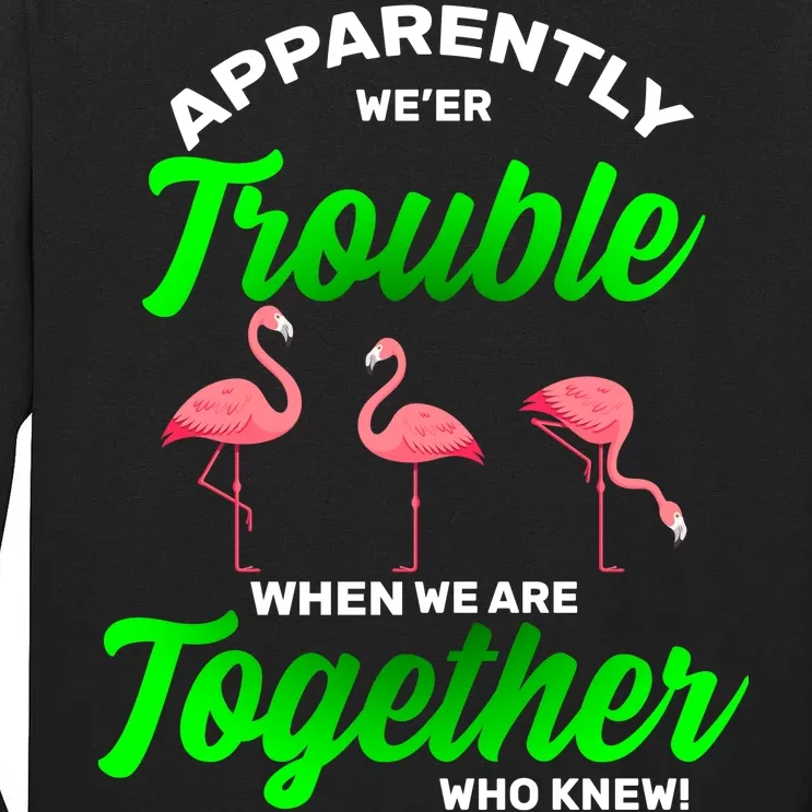 Trouble Flamingo When We Are Together Who Knew Tall Long Sleeve T-Shirt