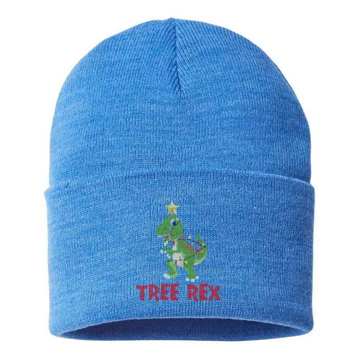 Tree Rex Pyjamas Xmas Lights Christmas Dinosaur Gift Sustainable Knit Beanie