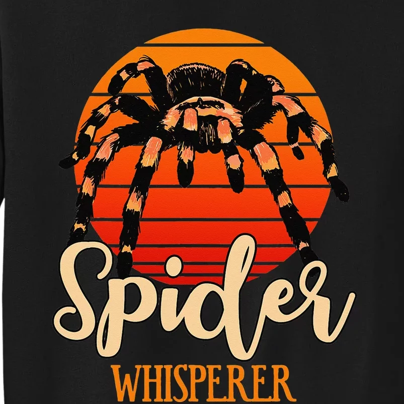 Tarantula Retro Sunset Arachnid Hairy Spiders Entomologist Sweatshirt