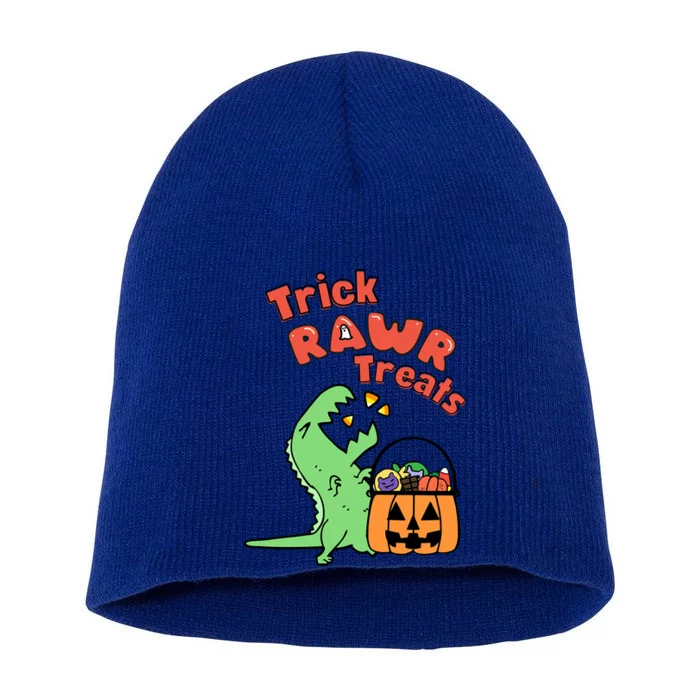 Trick Rawr Treat Dinosaur Trex Halloween Gift Short Acrylic Beanie