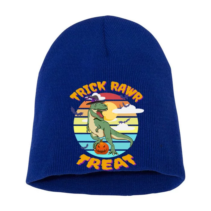 Trick Rawr Treat Retro Funny Halloween Witch TRex Present Gift Short Acrylic Beanie