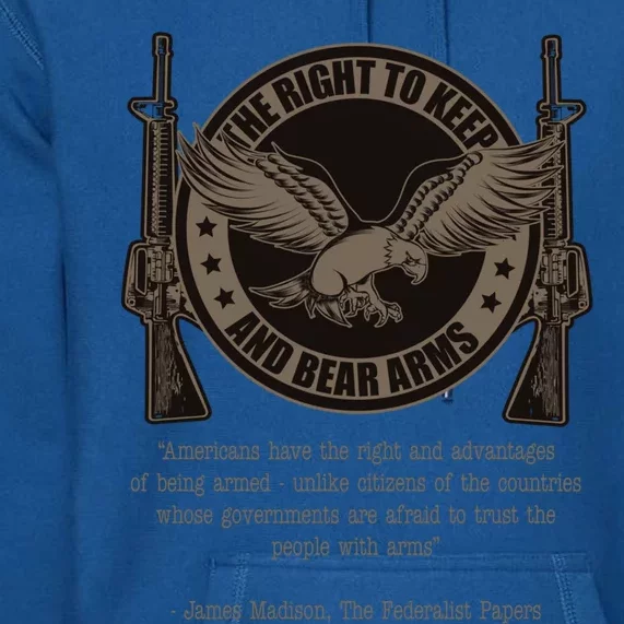 The Right To Keep And Bear Arms Constitutional Gift Premium Hoodie