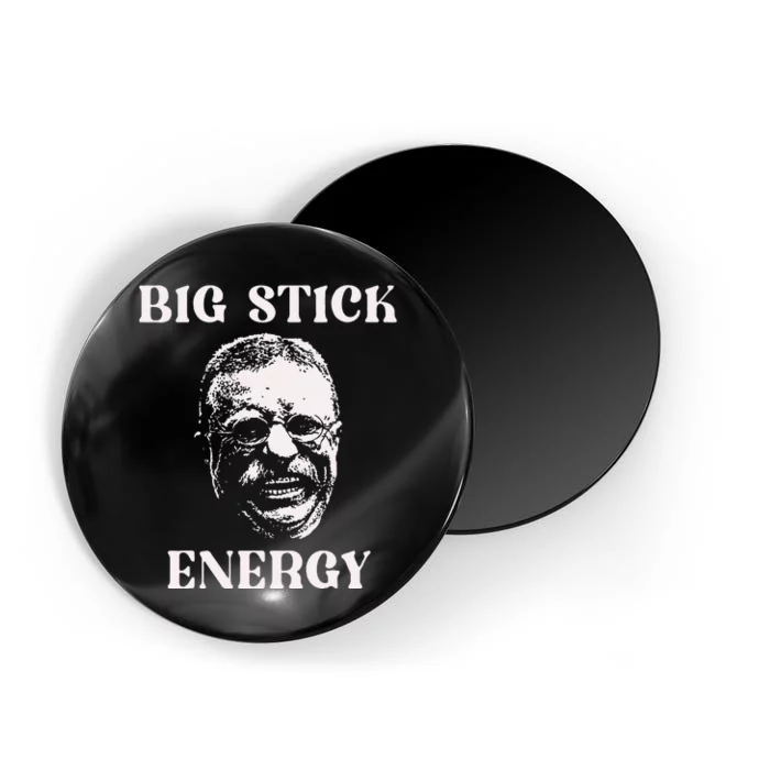 Theodore Roosevelt Magnet