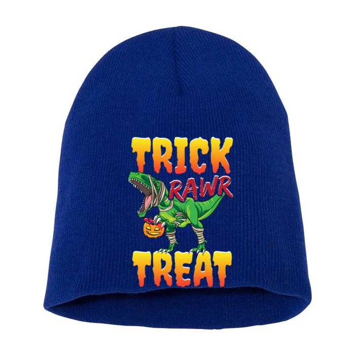 Trick Rawr Treat Dinosaur Trex Halloween Great Gift Short Acrylic Beanie