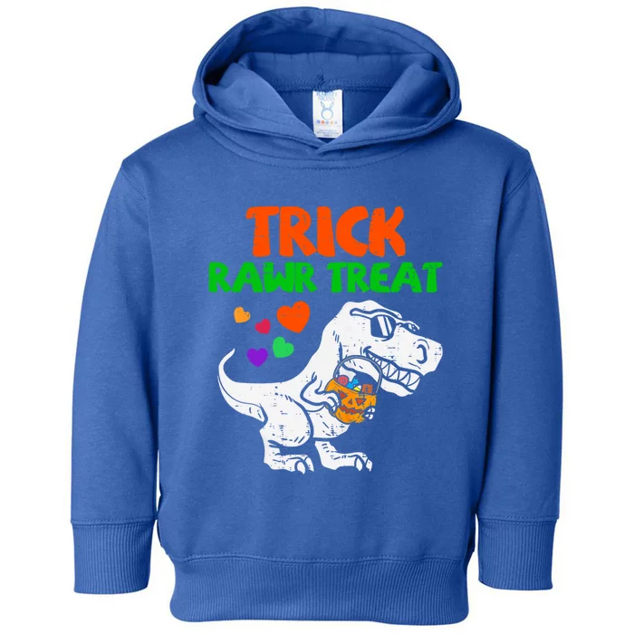 Trick Rawr Treat Dinosaur Trex Halloween Gift Toddler Hoodie