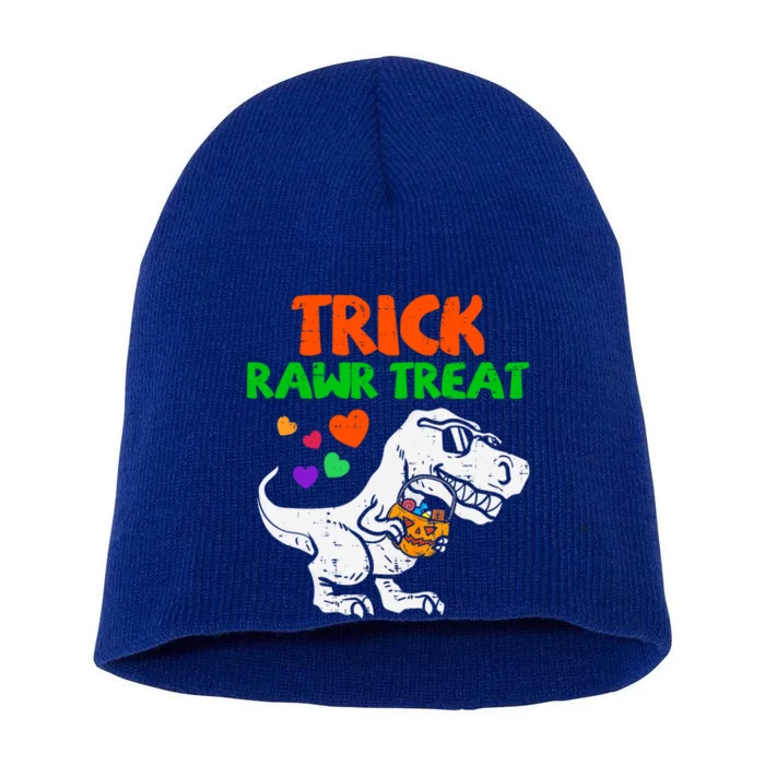 Trick Rawr Treat Dinosaur Trex Halloween Gift Short Acrylic Beanie