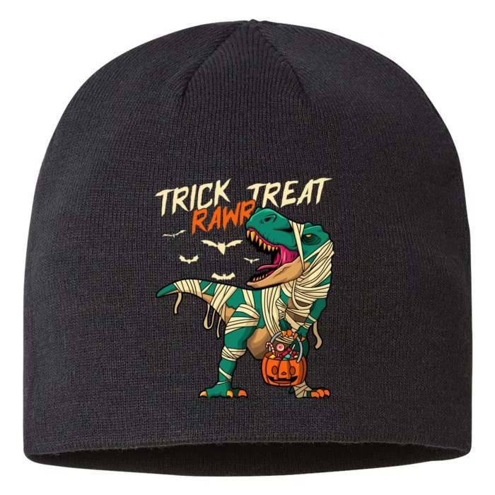 Trick Rawr Treat T Rex Dinosaur Mummy Boy Funny Halloween 8 1/2in Sustainable Knit Beanie