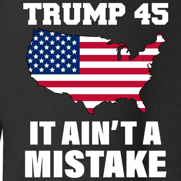 Trump 45 It Ain't A Mistake Snowflake Toddler Sweatshirt