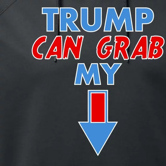 Trump Can Grab My Pussy Arrow 2020 Election Performance Fleece Hoodie