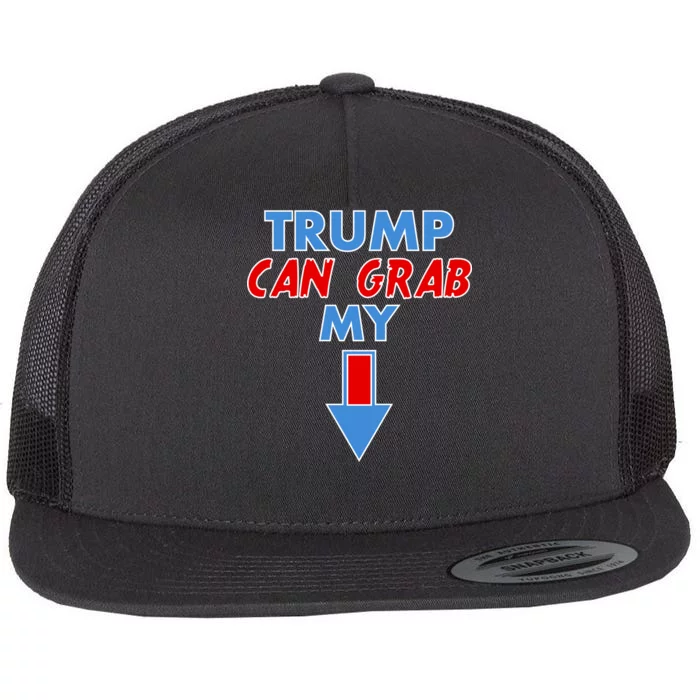 Trump Can Grab My Pussy Arrow 2020 Election Flat Bill Trucker Hat