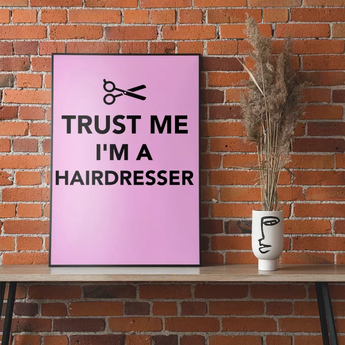 Trust Me I'm A Hairdresser Poster