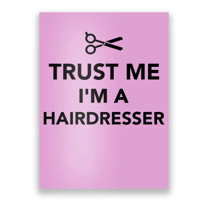 Trust Me I'm A Hairdresser Poster