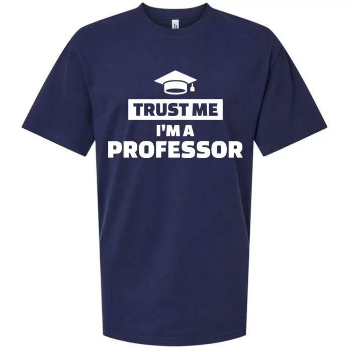 Trust Me I'm A Professor Sueded Cloud Jersey T-Shirt